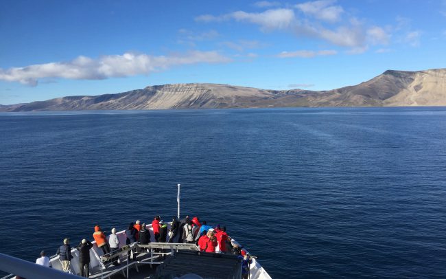 Looking for narwhals