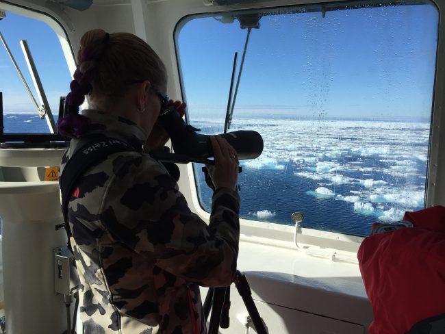 Lisa Kelly, our expedition leader, scanning the ice for Polar Bears.